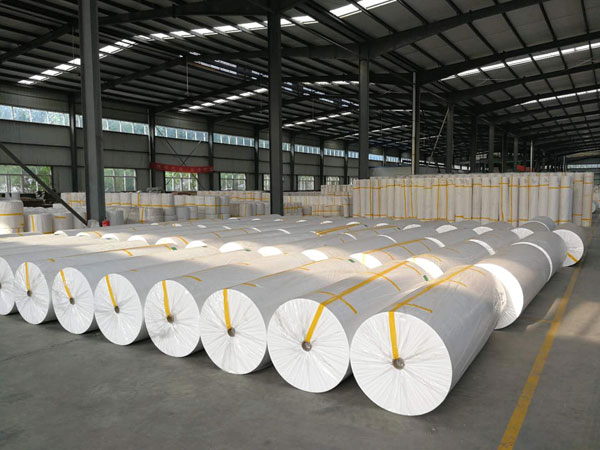 雅安狭缝式涤纶纺粘无纺布